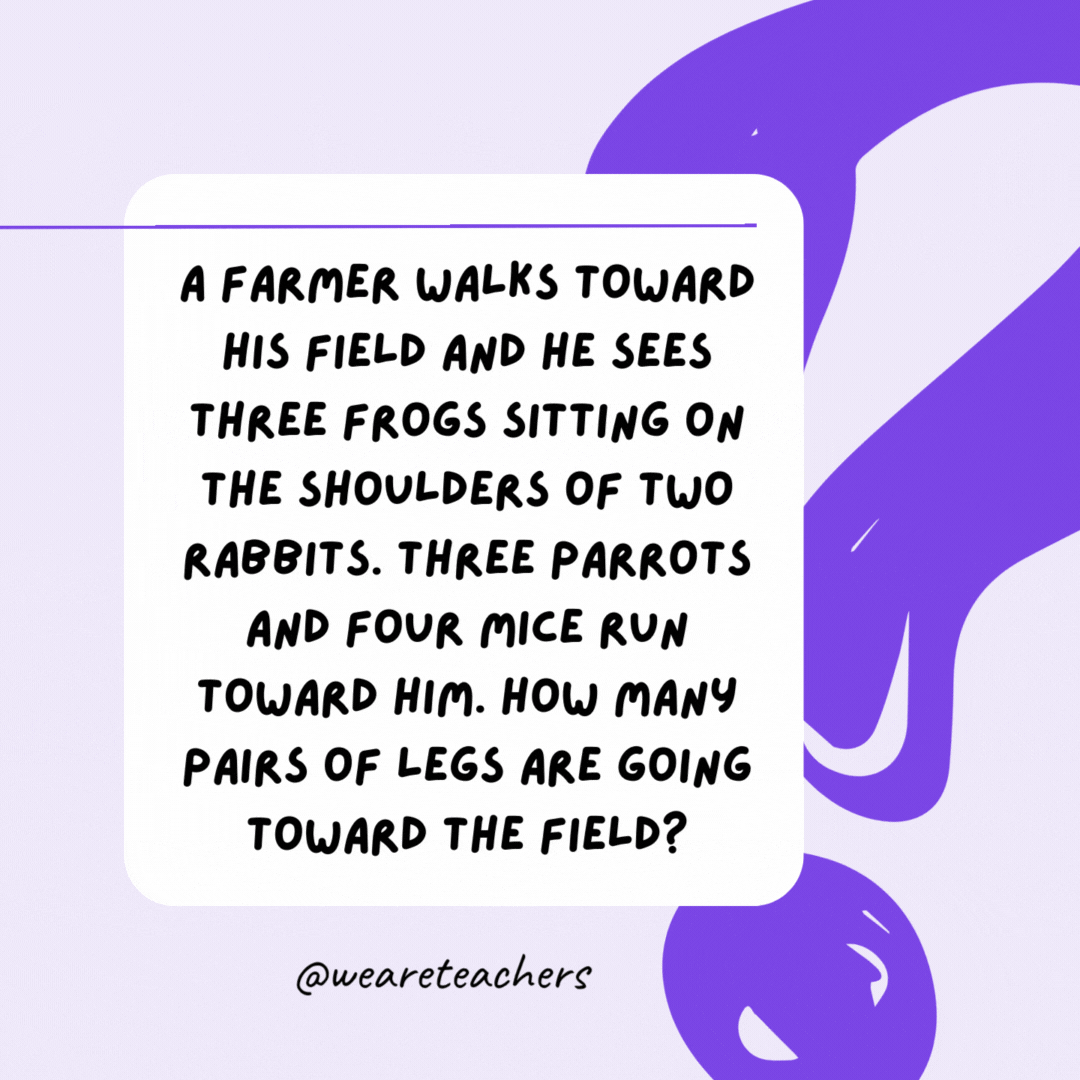 A farmer walks toward his field and he sees three frogs sitting on the shoulders of two rabbits. Three parrots and four mice run toward him. How many pairs of legs are going toward the field? One pair—the farmer’s.- riddles for high school students