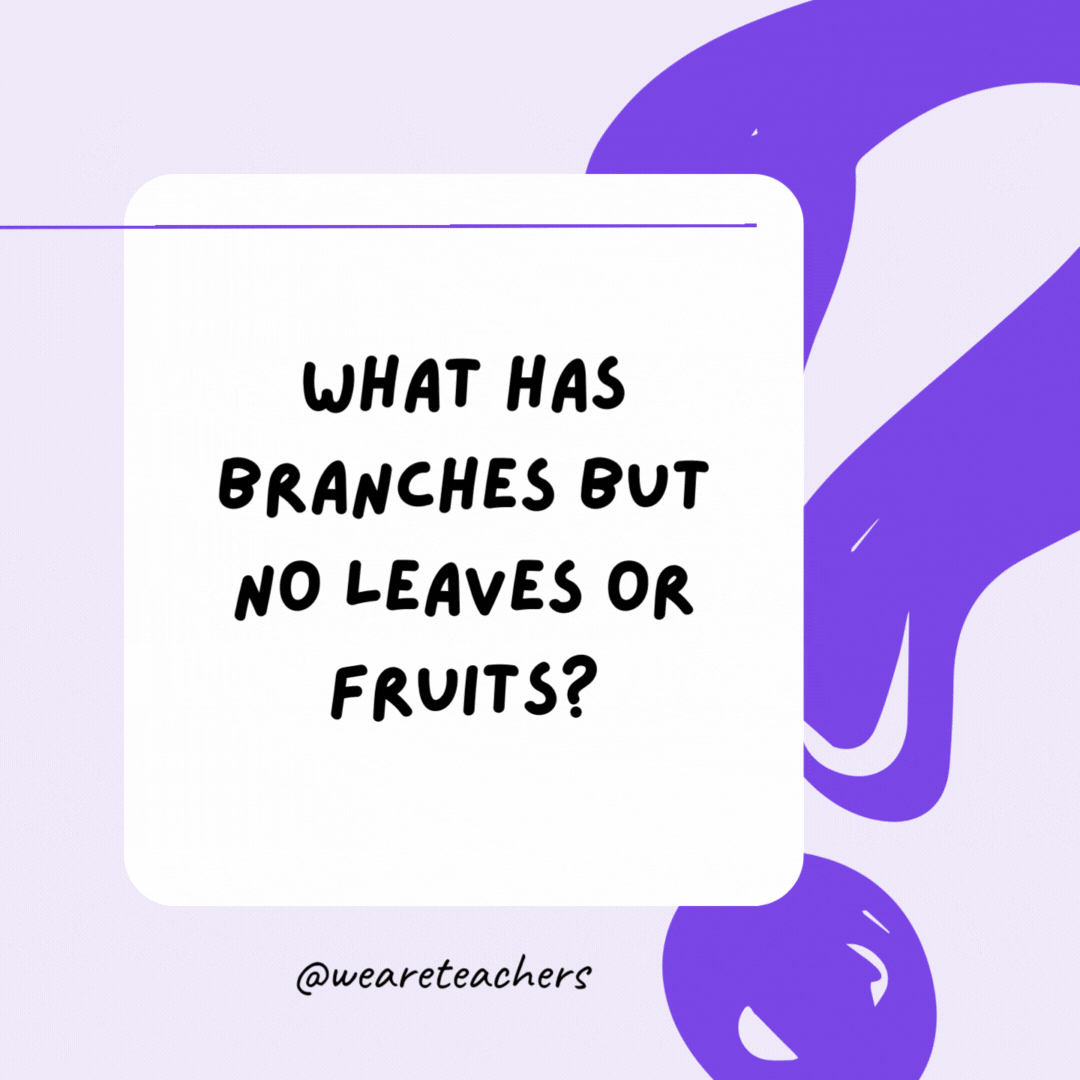 What has branches but no leaves or fruits? A bank.- riddles for high school students