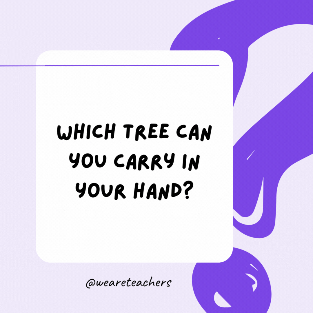 Which tree can you carry in your hand? A palm tree.