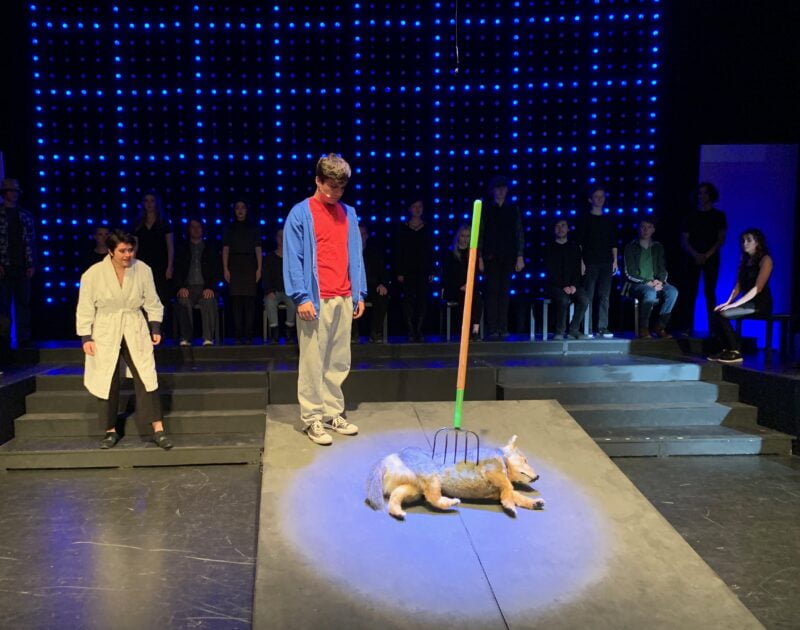 The Curious Incident of the Dog in The Nighttime play